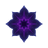 Nightshade logo